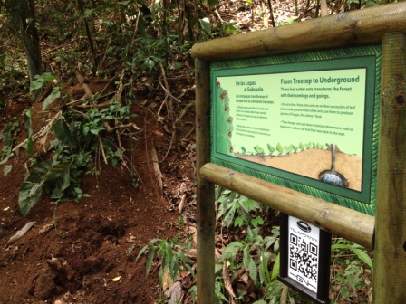 Sendero universal Carara